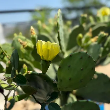 Wtite Sea 2 Апартаменты